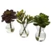 Succulent Arrangements (Set Of 3)