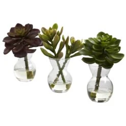Succulent Arrangements (Set Of 3)
