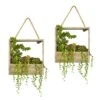 Succulent Garden Artificial Plant In Decorative Hanging Frame (Set Of 2)