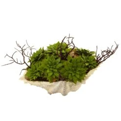 Succulent Garden W/Seashell -Artificial Trees Store artificial succulent garden wseashell nearly natural 745095