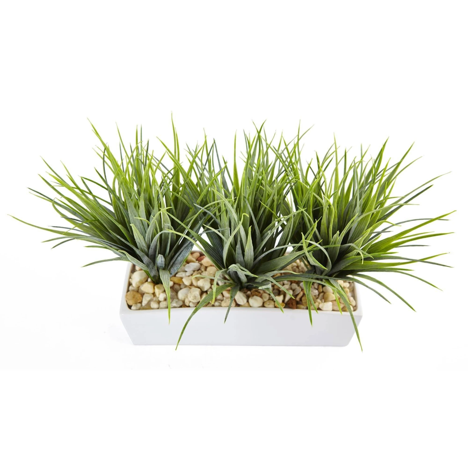 Vanilla Grass In Rectangular Planter 2 Vanilla Grass In Rectangular Planter - Image 2