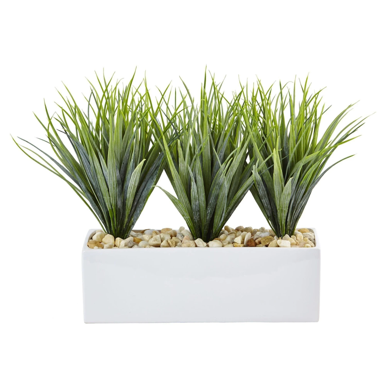Vanilla Grass In Rectangular Planter 1 Vanilla Grass In Rectangular Planter