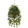 Vining Mixed Greens W/Cone Hanging Basket